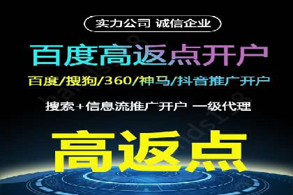 百度推广代运营案例：案例分享：打造行业领军品牌